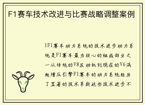 F1赛车技术改进与比赛战略调整案例